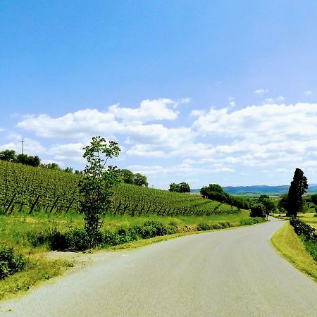 Centralissimo Nel Cuore Del Borgo Suvereto Εξωτερικό φωτογραφία