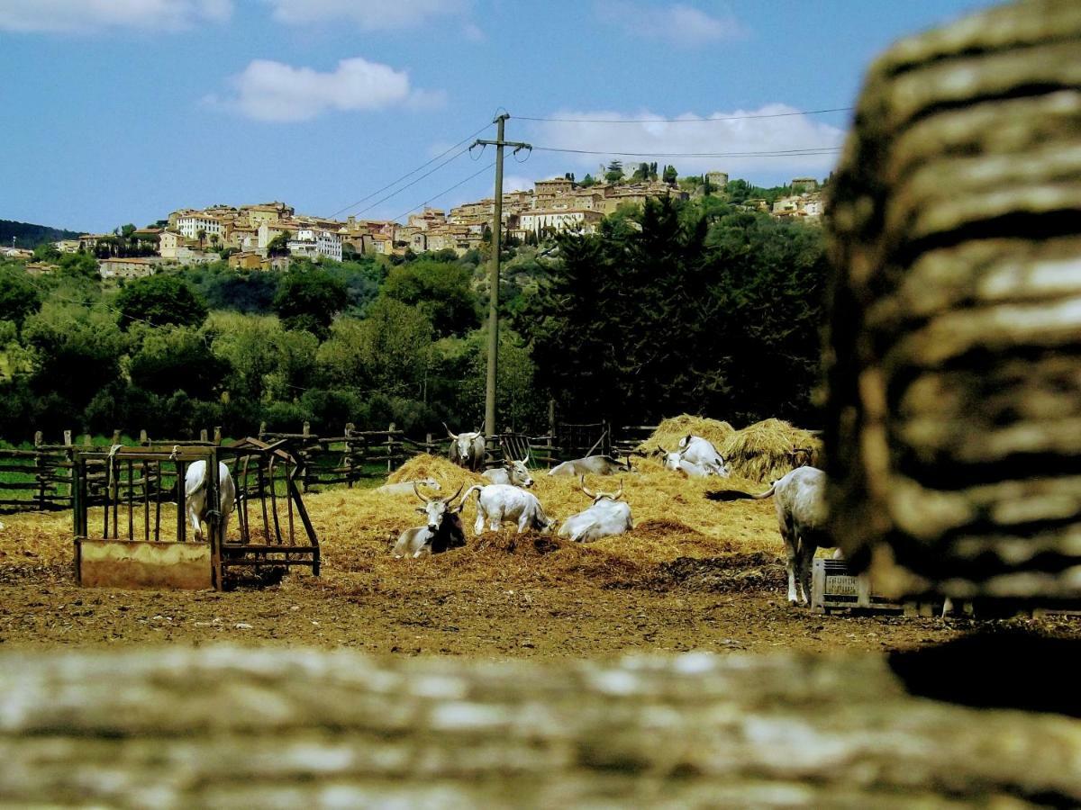 Centralissimo Nel Cuore Del Borgo Suvereto Εξωτερικό φωτογραφία